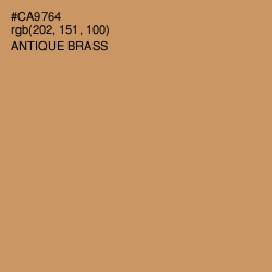 #CA9764 - Antique Brass Color Image